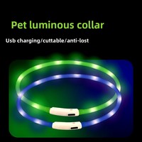 Collier lumineux transfrontalier pour chien, en gel de silicone LED, accessoire pour animaux de compagnie, collier clignotant lumineux pour mariage et fête - Japon Corée du Sud