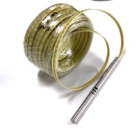 Câble règle en acier plat avec sonde PE pour jauge de niveau d'eau, longueurs 30m, 50m, 100m, 150m, 300m