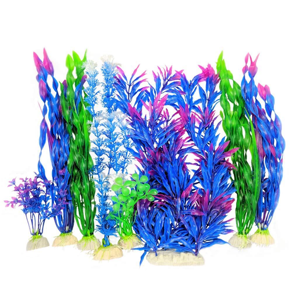 SKU-01