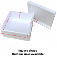 Emballage personnalisé en mousse EPS, faible MOQ, inserts en mousse moulés sur mesure et boîtes en mousse pour emballage de cadeaux électroniques, conception OEM