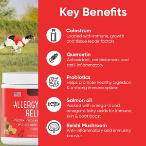Fabricante experimentado, suplementos para el cuidado <span class=keywords><strong>de</strong></span> la salud <span class=keywords><strong>de</strong></span> mascotas, masticables suaves inmunes para alergias para ayudar a apuntar la picazón ocasional - Product Image 4