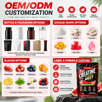 OEM/ODM Créatine en poudre à dissolution rapide en sachets, saveur pastèque, à consommer directement sans eau, complément nutritionnel sportif, marque privée