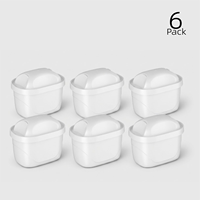 Cartouches de filtre à eau en plastique certifiées NSF PUREZA Z059, lot de 6, pour systèmes B-rita et pour usage domestique, charbon actif