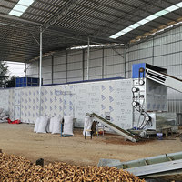 Grote capaciteit kruiden- en bloemen droogmachine met gaasband, voor het reinigen, blancheren en drogen van lelies.