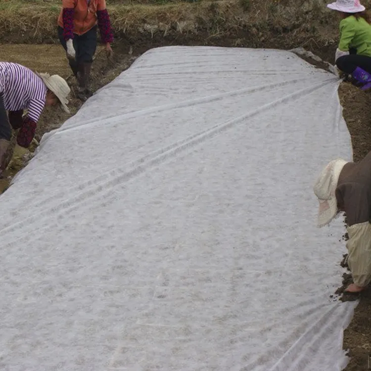 कृषि विकास खरपतवार को रोकने के लिए थोक पॉलिएस्टर घास विकर्षक कपड़ा लैंडस्केप कपड़ा