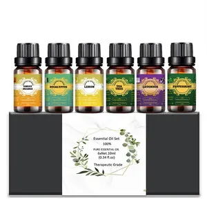 Ensemble d'huiles essentielles d'aromathérapie 100% Pure-lot de 6, 10ml(Eucalyptus, lavande, citronnelle, Orange, menthe poivrée, arbre à thé)