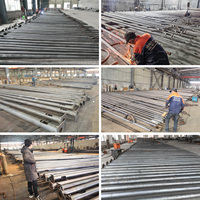 Postes de Luz Solar para Exteriores FORIDO de 4m, 5m, 6m, 7m, 8m, 9m, 10m y 11m, de Acero Galvanizado en Caliente, para Carreteras y Autopistas