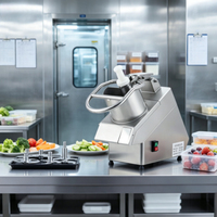 Multifunctionele mini-snijmachine voor bladgroenten, kleine snijmachine, automatische fruit- en industriële groentesnijmachine