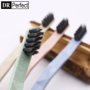 Cao Cấp Thân Thiện Với Môi Dr Hoàn Hảo Tùy Chỉnh Thường Xuyên Kích Thước Bàn Chải Đánh Răng Di Động Chống Trượt Nhựa Xử Lý Nylon Lông Tay Cao - Product Image 4