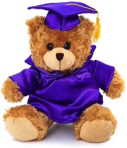 个性化毕业鲍比熊毛绒毛绒动物玩具，带有自定义名称和日期