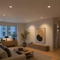 Produsen Downlight LED COB Terpasang Tetap OEM ODM, Lubang Potong 75mm untuk Proyek Ritel, Hotel, dan Hunian LP-FX7584-NR-23