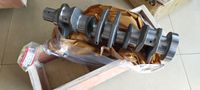 3697067 X13 ENGINE COMPRESSION SPRING 3697069 X13 ENGINE RETAINING RING