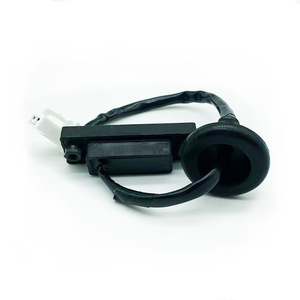 Interruptor de la Tapa del Maletero Hyundai 812601R000 Negro para Repuesto o Reparación - Product Image 2