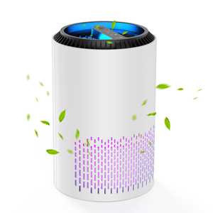 Usine source OEM HEPA11 HEPA13 petit fabricant portable prix raisonnable <span class=keywords><strong>purificateur</strong></span> <span class=keywords><strong>d</strong></span>'<span class=keywords><strong>air</strong></span> bionair - Product Image 4