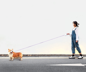 Correa retráctil para perros de nuevo estilo, sin enredos Mango antideslizante, liberación de bloqueo manual, patrón sólido, cuerda de plástico de nailon para perros - Product Image 6