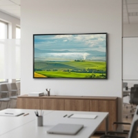 Tableau blanc interactif LCD 55-120 pouces, double système OPS, tactile infrarouge, 4K, écran plat intelligent pour l'éducation, les conférences, les écoles et les bureaux