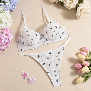 Classic Bow Pattern Printed Underwear Mesh Perspective Temptation Sexy Underwear Two Piece Set for Women - Product Image 5