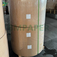 Papier kraft brun à haute résistance à l'humidité, 100 g/m², en rouleau