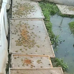 40 LƯỚI 5 mét vuông Grasshopper chăn nuôi Net chống thoát cách ly hàng rào Côn trùng Net bền và thông gió - Product Image 2