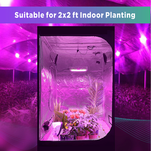 Sanyiba Chất lượng cao 1000 Watt Dual-Chip Led phát triển Ánh sáng tối ưu quang phổ đầy đủ cho hạt giống bắt đầu thương mại cấp Veg nở - Product Image 6