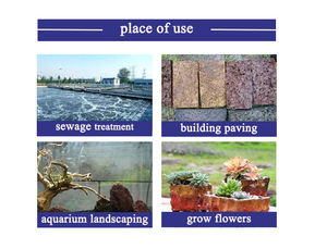 火山岩は水質を調節し、水槽は黒と赤の火山岩で造園 - Product Image 4