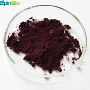 Горячая распродажа: Натуральный экстракт голубики, порошок с 18% и 25% антоцианов - Product Image 2