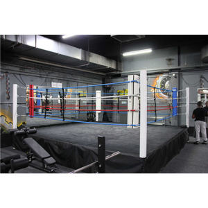 Mesure de précision 600 ㎡ Ailes de boxe personnalisées de la liberté - Product Image 3