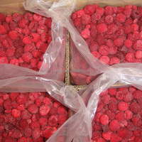 China Nuevos productos Exportados Buena calidad Frambuesas congeladas Fruta congelada 95/05 a granel 100% Fruta