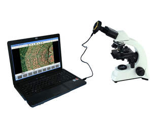 <span class=keywords><strong>3MP</strong></span>デジタルステレオ顕微鏡カメラ9.13 ''/11.81'' 接眼レンズチューブ接続カラーCMOS産業検査用ビッグピクセル - Product Image 3