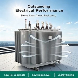 Transformador de Filtración Sumergido en Aceite S13 M 1250kVA, 10kV 11kV 0.4kV, Larga Vida Útil, Precio Mayorista Más Bajo - Product Image 4