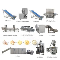 Ligne de production professionnelle de poudre d'oignon et d'ail, machine à poudre d'oignon et d'ail, best-sellers