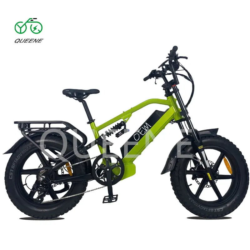 QUEENE Stock E-bike 48v 750w 1000w Electric Bicycle High Speed electric fat tire bike