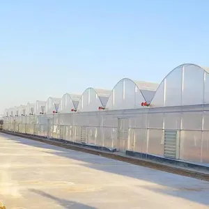 Agricultural Greenhouse Ecological Breeding Greenhouse For Vegetable And Flower Cultivation Multi Span Agricultural Greenhouse