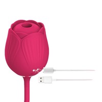 Vakuumwellen-Becken rehabilitation gerät | Percussion-Therapie in medizinischer Qualität Postpartum Myo fascial Release Device Dual-Mode-Applikator