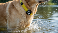 Collier d'entraînement de luxe pour animaux de compagnie avec AirTag, écologique, étanche IPX7, en acier inoxydable et plastique, durable, robuste et solide