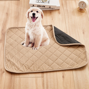 Có thể giặt Dog Pet PEE <span class=keywords><strong>Pads</strong></span> Thêm lớn <span class=keywords><strong>Puppy</strong></span> Bô đào tạo <span class=keywords><strong>Pads</strong></span> <span class=keywords><strong>Puppy</strong></span> Pad Đào Tạo để bên ngoài - Product Image 1