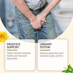 Thé Herbal Certifié ISO et Halal pour la Santé de la Prostate, Conditionné en Vrac, Sachet de Traitement Corporel avec Emballage Boîte et Tasse, Saveur - Product Image 2