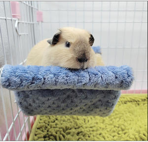 <span class=keywords><strong>Hamaca</strong></span> Cálida <span class=keywords><strong>para</strong></span> Mascotas, Accesorios <span class=keywords><strong>para</strong></span> Gliders, Plataforma Colgante, Accesorios <span class=keywords><strong>para</strong></span> Hámsteres, <span class=keywords><strong>Nido</strong></span> <span class=keywords><strong>para</strong></span> Mascotas - Product Image 3