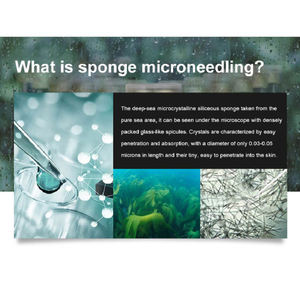 Alga <span class=keywords><strong>Peeling</strong></span> aghi Bio <span class=keywords><strong>Peeling</strong></span> ed esfoliazione 70% puro Bioneedling Spongilla Spicules Peel in polvere trattamento Acne e sbiancamento B - Product Image 2