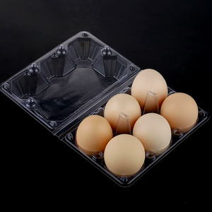 Tùy Chỉnh <span class=keywords><strong>6</strong></span> Mảnh Nhựa Khay Trứng An Toàn Lưu Trữ Hiệu Quả - Product Image 1