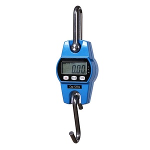 Trung Quốc Mini kỹ thuật số cần cẩu có trọng lượng quy mô thép không gỉ 30kg 100kg 300kg Công suất LCD hiển thị OEM ODM chứng nhận <span class=keywords><strong>OIML</strong></span> - Product Image 3