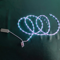 Ruban lumineux LED à commande ponctuelle