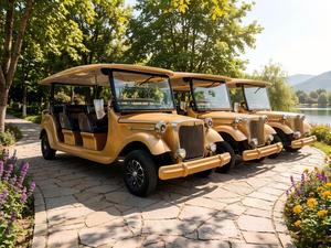Voiture Classique Vintage à Conception Personnalisée, 5-11 Places, Forte Capacité de Montée, Vitesse Haute et Basse, Faible Consommation d'Énergie, Entretien Facile, Certifiée, Vente en Gros - Product Image 1