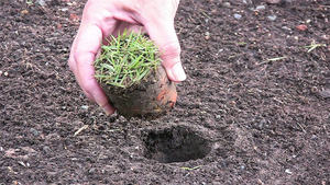 Outils de fertilisation <span class=keywords><strong>pour</strong></span> irrigation goutte à goutte Outils de jardinage et de <span class=keywords><strong>pelouse</strong></span> Outils de désherbage ou de désherbage Sonde de test de sol <span class=keywords><strong>pour</strong></span> racines d'herbe - Product Image 3