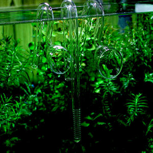 Iowa Leliepijpaquarium Met Glazen Accessoire Voor Buiten - Product Image 4