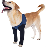 Chaussettes en caoutchouc pour protéger les pattes des chiens, anti-léchage, imperméables, bottes antidérapantes, soin des plaies, intérieur/extérieur, toutes saisons, animaux de compagnie