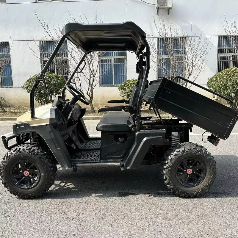 4-тактный Бензин UTV EFI 4x4 2-местный внедорожный UTV