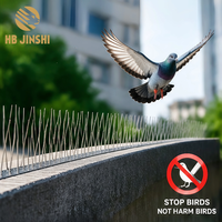 Piques anti-oiseaux 100 % acier inoxydable, dissuasives contre les pigeons, résistantes aux intempéries, anti-UV, écologiques, sans base en plastique, 50 cm, respectueuses des animaux, durables, pour vergers