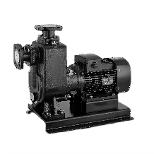 ZW Self-Priming Booster <b>Pump</b> 11-22kW 14-55m Head 40-180m³/h <b>Waste</b> Water Transfer <b>Pump</b> - Product Image 2