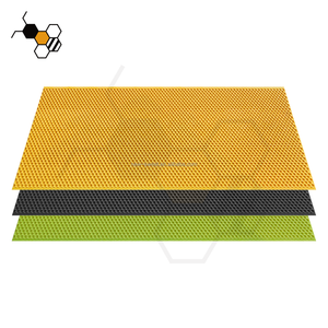 Matériel d'apiculture : Feuilles de fondation de ruche en plastique imperméable avec taille de cellule de 4,9 mm et 5,4 mm, revêtement en cire disponible - Product Image 4